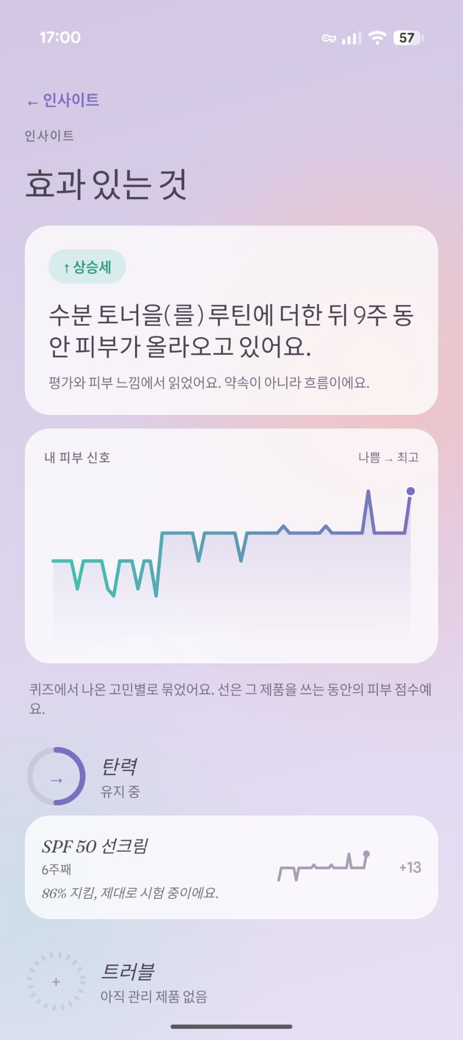인사이트